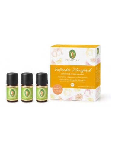 Set Aceites Esenciales Menta - Lavanda - Arbol de Té